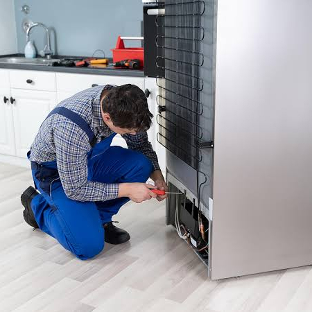 Fridge Repair